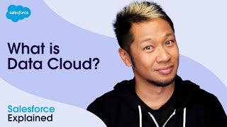 How to Unify Data & Use AI To Increase Productivity with Data Cloud | Salesforce Explained