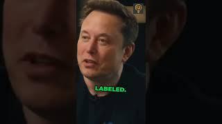 Elon Musk's AI Safety Concerns