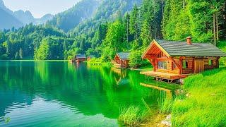 Soft music calms the nervous system and refreshes the soul ???? Eliminates all negative energy #8