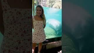 Ai or real at the Zoo! #ai #aiorreal