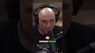 "AI neural network" Elon musk gone mad #elonmusk #elon #tesla #spacex #bitcoin